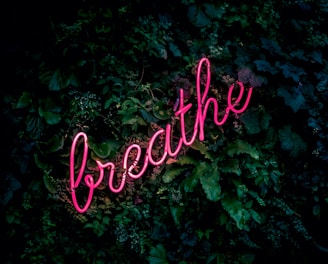 pink breathe neon sign