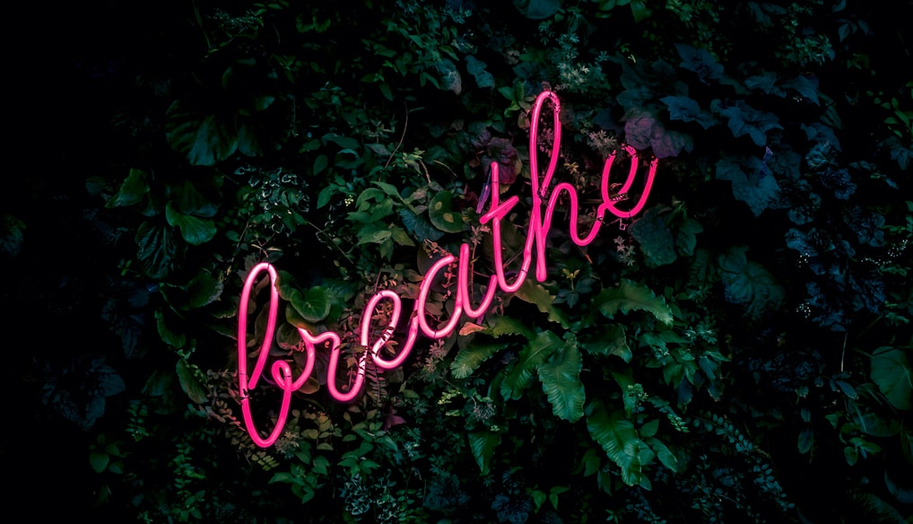 pink breathe neon sign