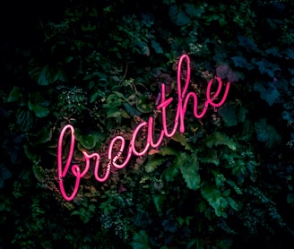 pink breathe neon sign