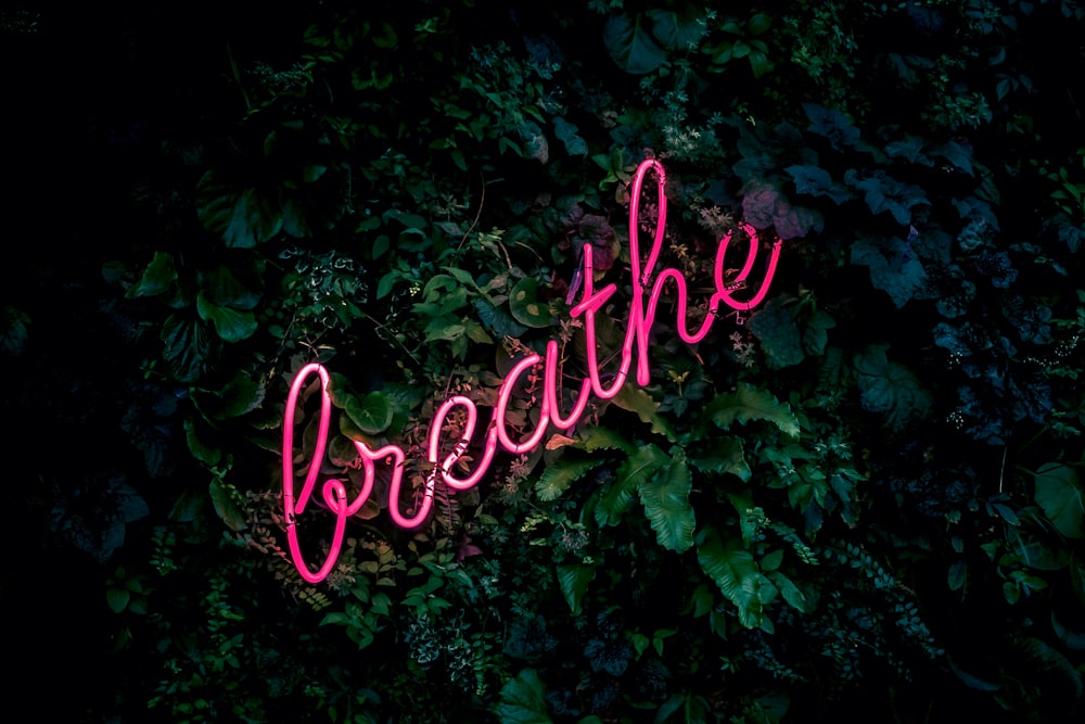 pink breathe neon sign
