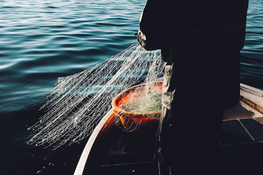 Fisher hauling a net aboard a wooden boat