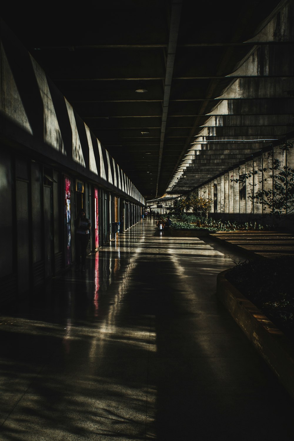 woman standing at pathway