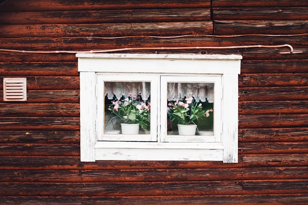 deux pots de fleurs blancs près de la fenêtre