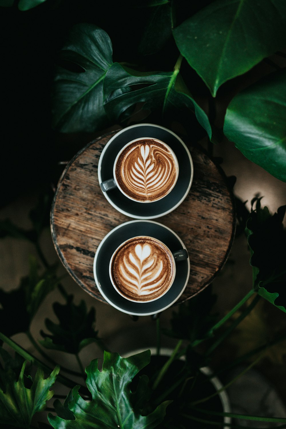 Foto de ángulo alto de dos tazas verdes llenas de café
