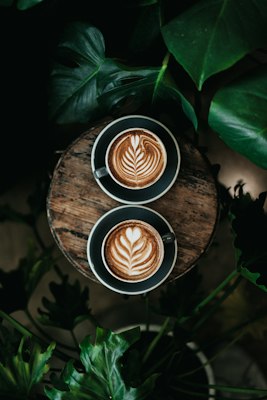 BlackFin Coffee
