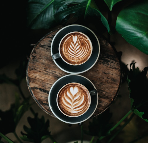 cafés para seu sucesso na cafeteria e revenda