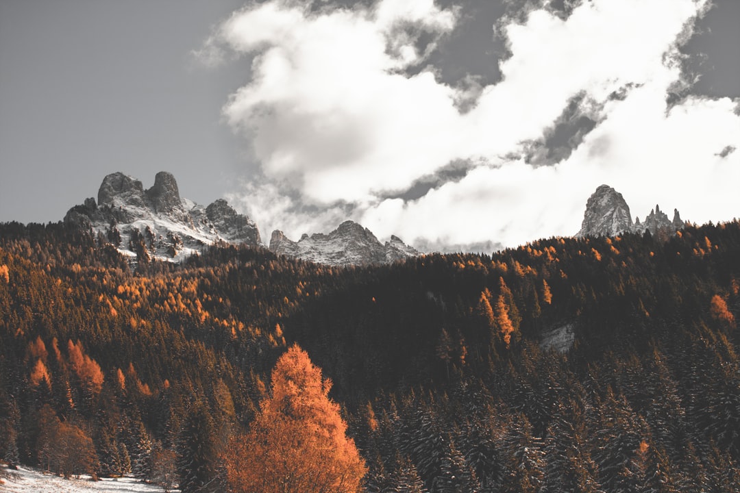 Mountain range photo spot Carezza Rolle Pass