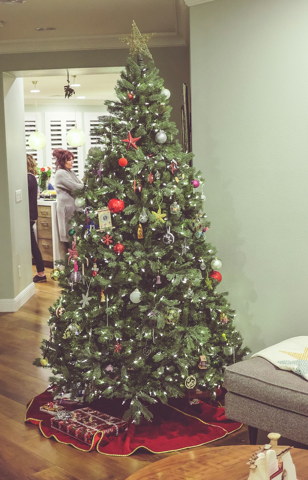 green-leafed tree in room