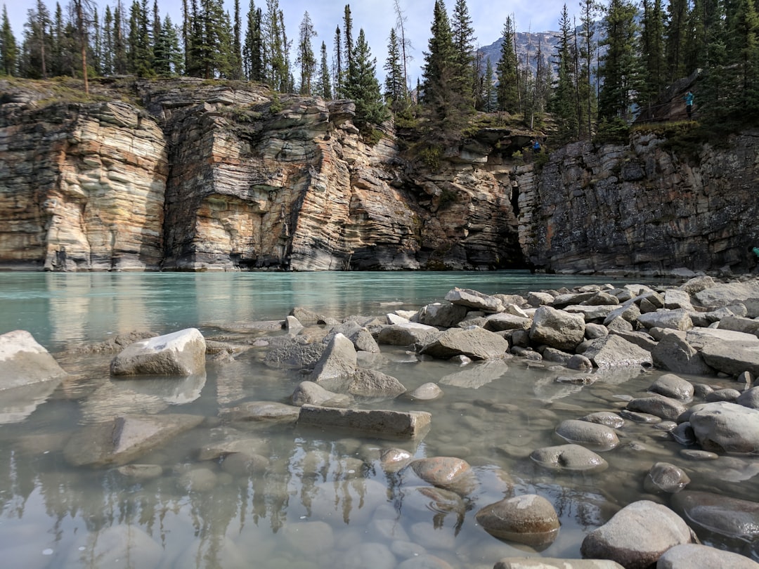 Nature reserve photo spot Athabasca Falls Miette Hotsprings