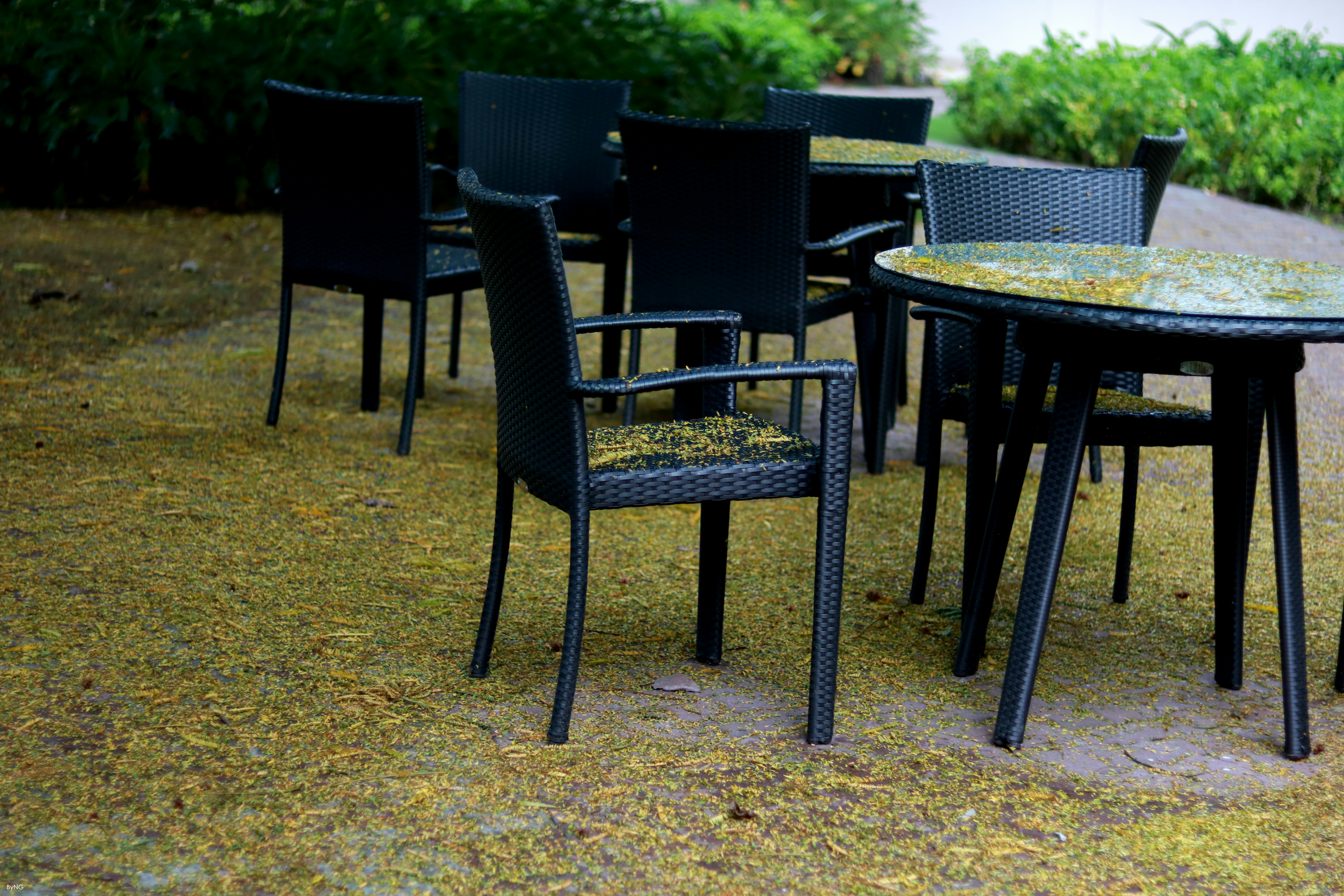 Outdoor seating area of a two-star hotel with garden view