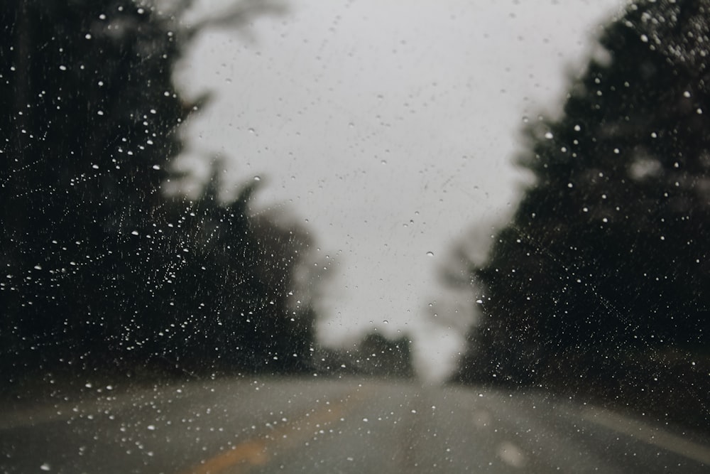 a rain covered windshield with trees in the background