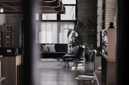 Interior shot of a trendy, open-concept living room featuring black and gold decor elements.