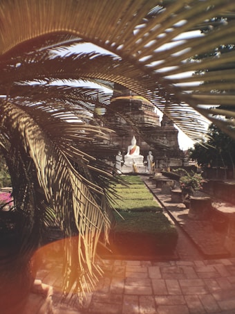 A serene garden setting with lush green grass and neatly trimmed bushes is partially covered by the fronds of a large palm tree. In the background, an ancient stone temple structure can be seen. In front of the temple, there is a prominent white statue of a seated figure, likely a Buddha, surrounded by smaller statues.