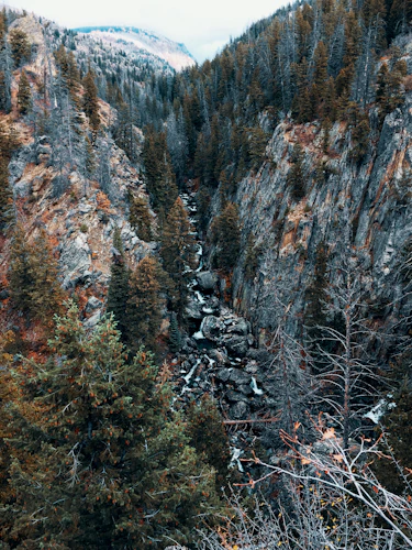 A South Platte canyon run edged with fall color as the late-season terrestrial window winds down toward September