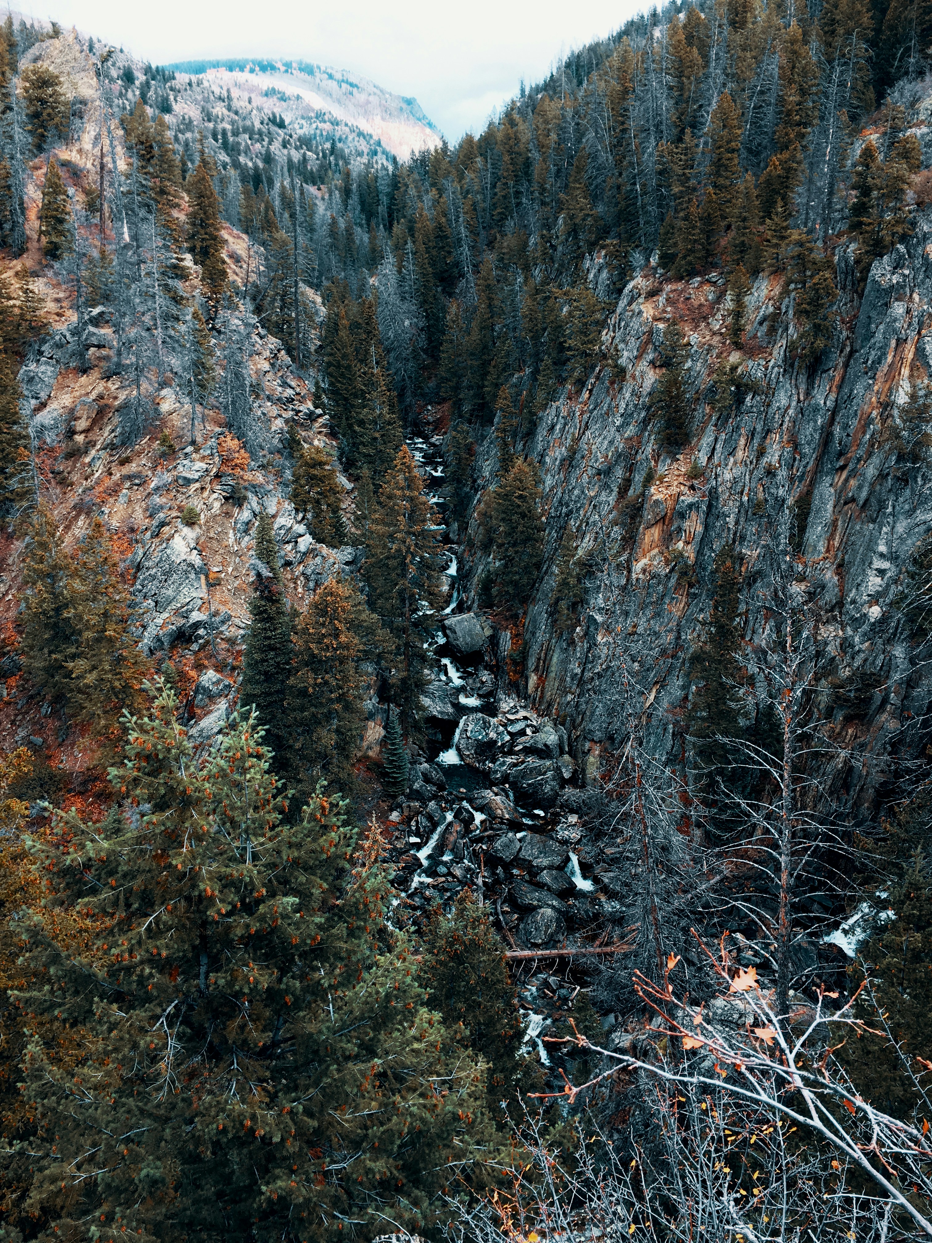 Mountain Valley