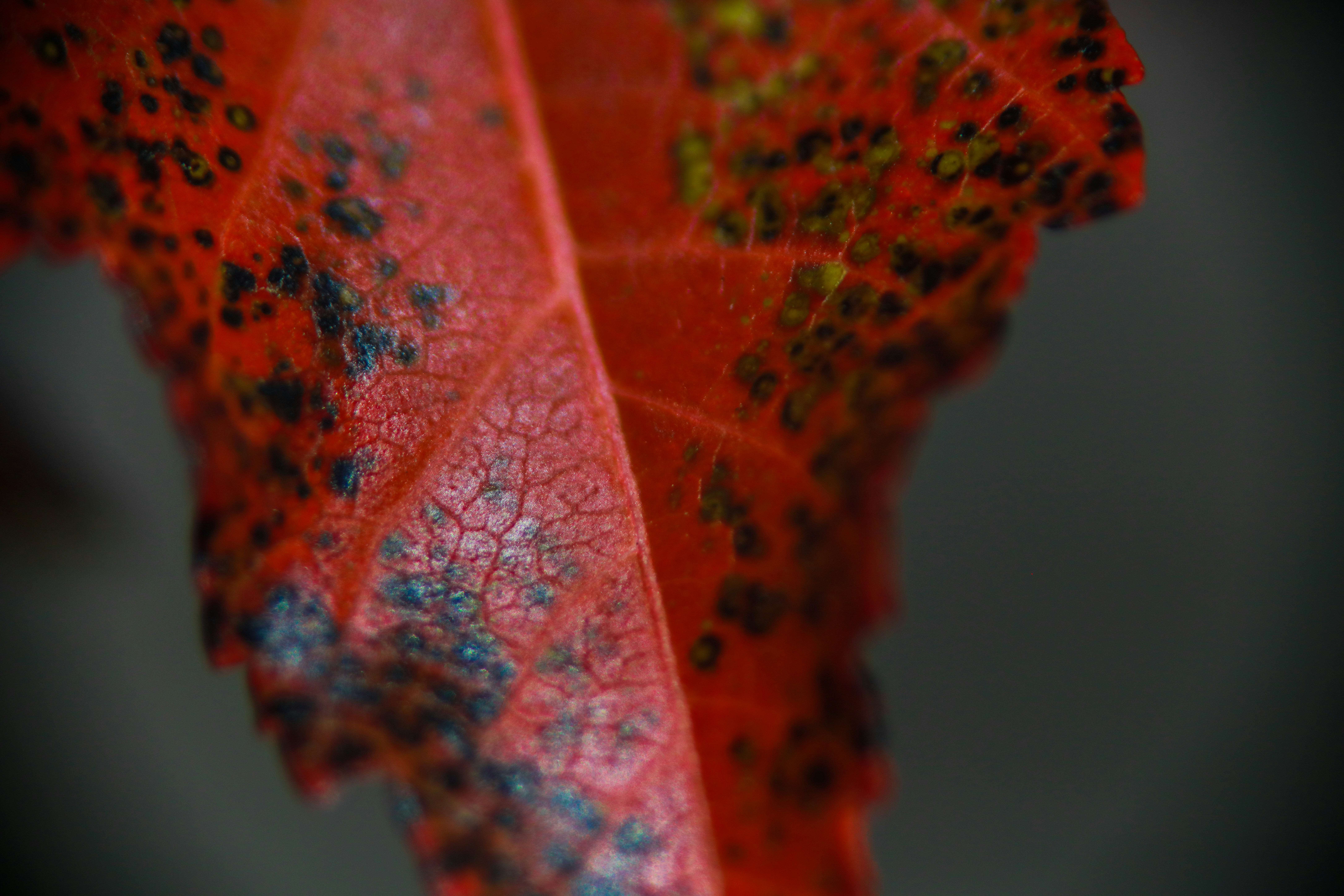 Photo by worldsbetweenlines