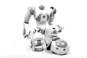 white and gray RoboSapien ai assistant