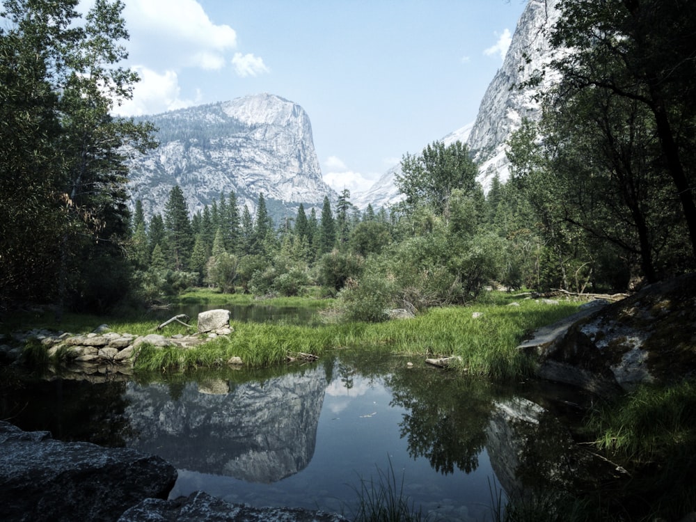 landscape photograph of marsh near mountains