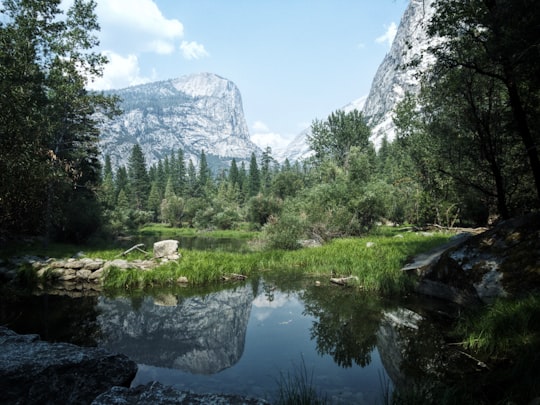 landscape photograph of marsh near mountains in Yosemite National Park United States