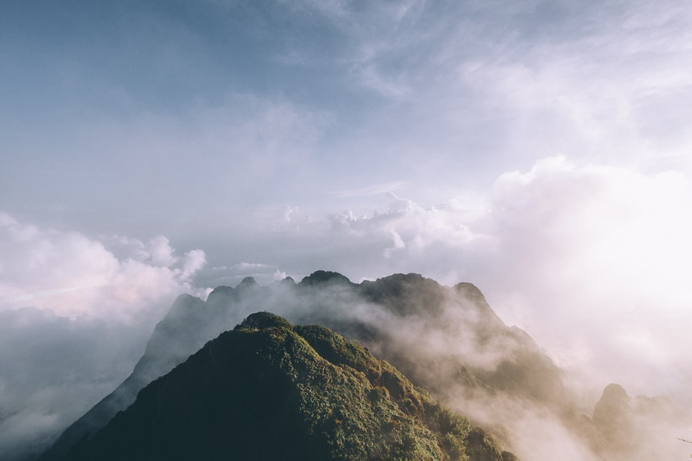 green tree covered foggy mountains