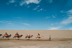 group of people riding on a camel