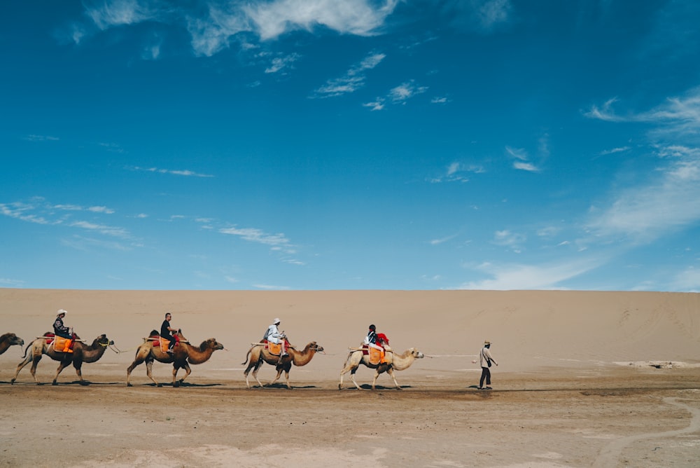 group of people riding on a camel