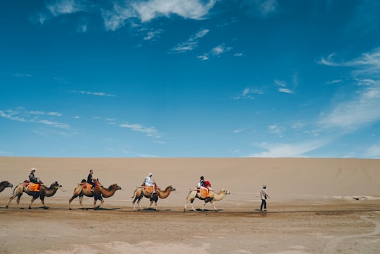 group of people riding on a camel in Dunhuang China