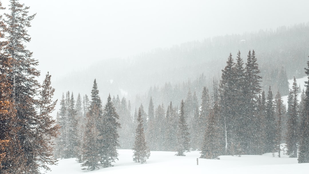 travelers stories about Spruce-fir forest in Beehive Basin, United States