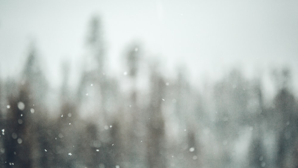 a blurry photo of trees in the snow