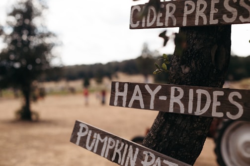Wooden signposts attached to a tree trunk, with text indicating 'Cider Press,' 'Hay-Rides,' and 'Pumpkin Patch.' The background is slightly blurred, showing an outdoor setting with trees and people in the distance.