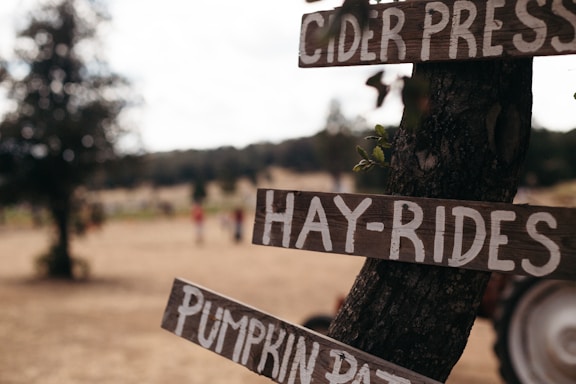 A rustic wooden signpost at the edge of the walnut orchard with the farm's name and contact details.