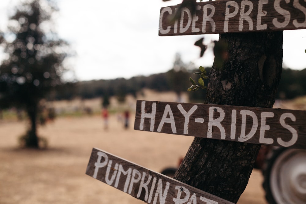 brown wooden road signage