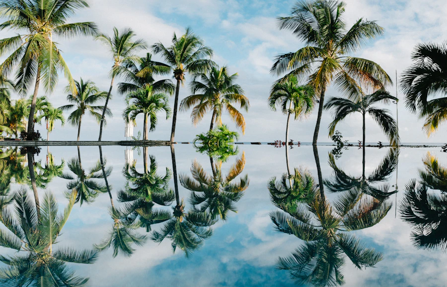 Palm trees reflected in a still tropical lagoon