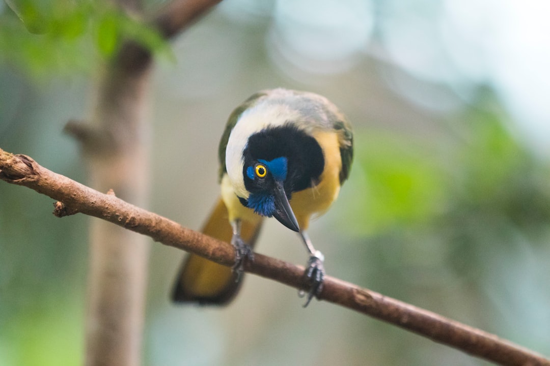 Wildlife photo spot Universeum Kungshamn