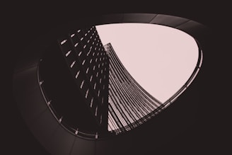 low-angle shot building