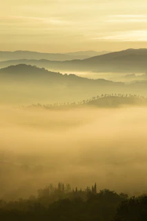 A serene misty morning over the rolling hills of Glenullin, with soft light filtering through ancient trees.
