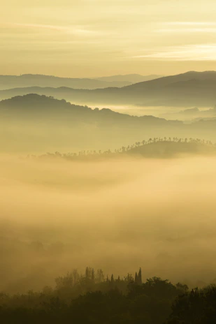 A serene misty morning over the rolling hills of Glenullin, with soft light filtering through ancient trees.