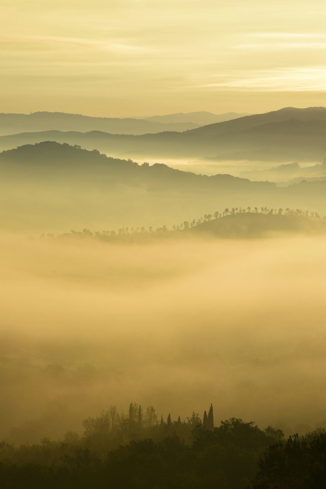 trees and hill surrounded by fogs under white clouds