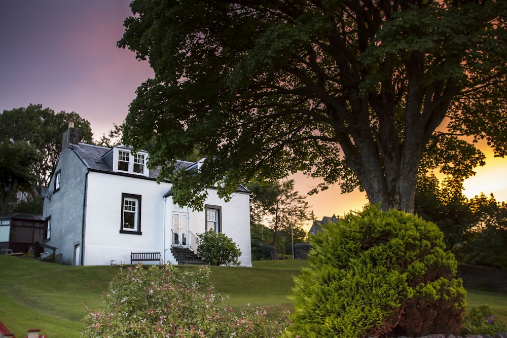 white concrete house beside green tree