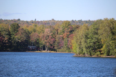 A cozy lakeside home nestled among autumn trees with a calm lake reflecting the sky.