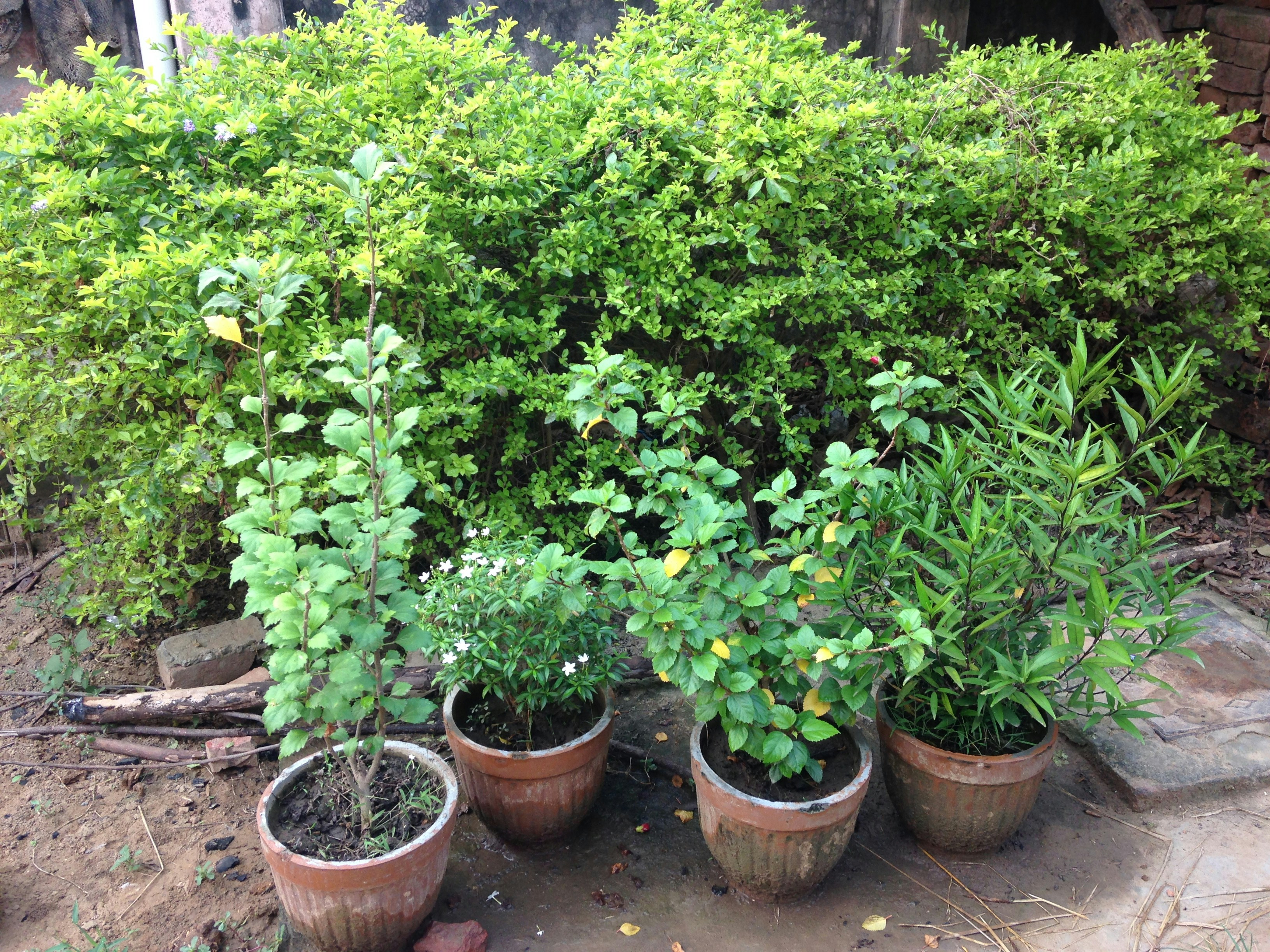 Premium Horticultural Supplies