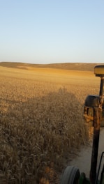 A vibrant image of farm equipment lined up beside a field of golden wheat under a clear blue sky.
