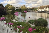 A serene pond surrounded by trees and village homes.