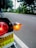 The image displays a close-up of a motorcycle's rear section featuring a red taillight and an orange indicator light. A license plate with text is partially visible. The background includes a road and blurred greenery, suggesting a roadside environment.