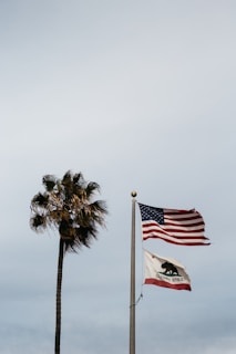 A lone palm tree stands next to two flags on poles, one displaying the American flag and the other the California state flag with a bear emblem. The sky is overcast and the scene captures a sense of stillness.