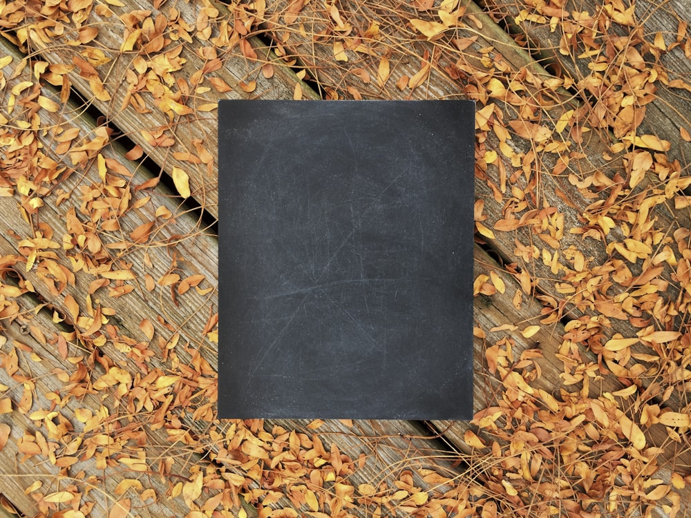 chalkboard on wooden surface with fallen leaves