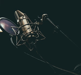 bokeh photography of condenser microphone