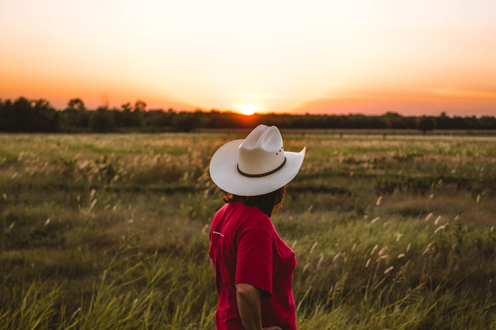 person standing near green grass under golden sky