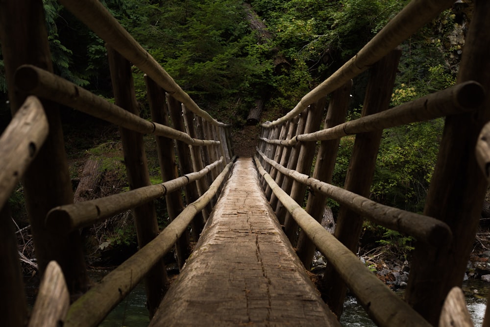 日中の茶色い木橋