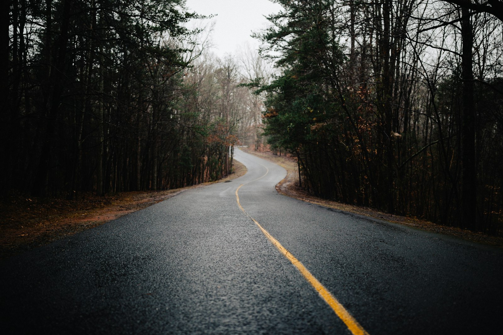 Canon EF 35mm F1.4L II USM sample photo. Photo of road between photography